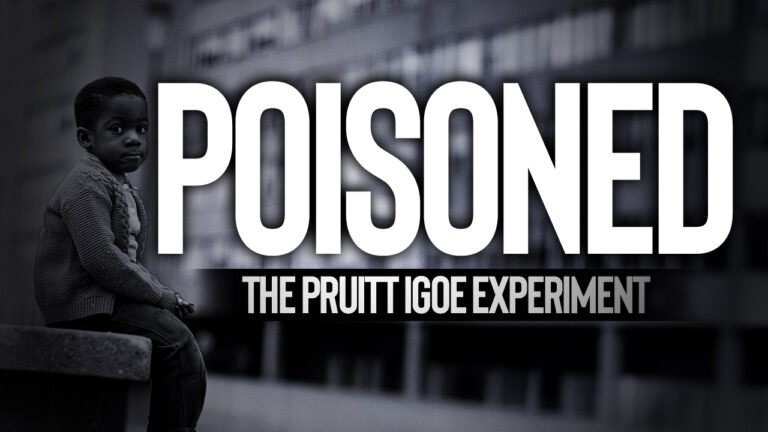 The Pruitt Igoe Experiment - Roots Preserved