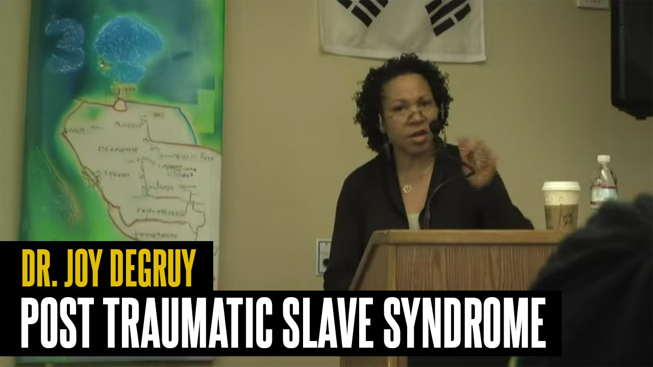 Post Traumatic Slave Syndrome | Part 2 - Dr. Joy DeGruy - Roots Preserved